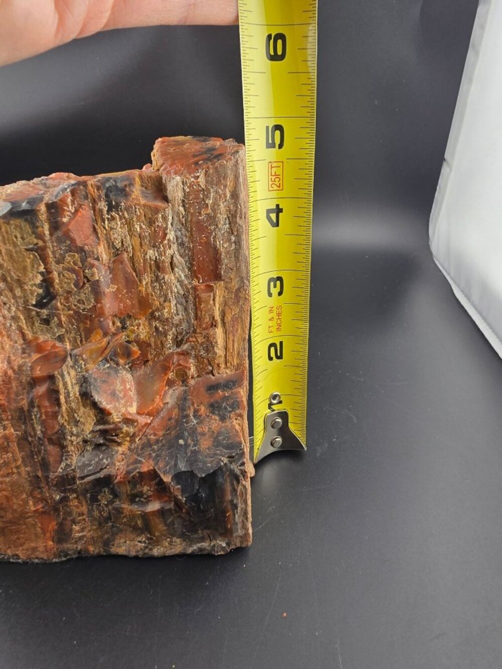 Petrified Wood Fossil Specimen With Rich Red & Black Hues, Polished/Raw -2.1 lbs - Picture 16 of 16